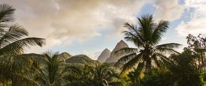 Preview wallpaper mountains, palm, landscape, island