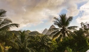 Preview wallpaper mountains, palm, landscape, island