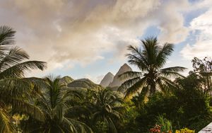 Preview wallpaper mountains, palm, landscape, island
