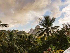 Preview wallpaper mountains, palm, landscape, island