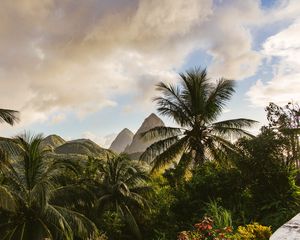 Preview wallpaper mountains, palm, landscape, island