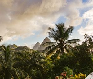 Preview wallpaper mountains, palm, landscape, island