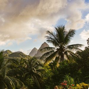 Preview wallpaper mountains, palm, landscape, island