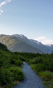 Preview wallpaper mountains, path, bushes, nature