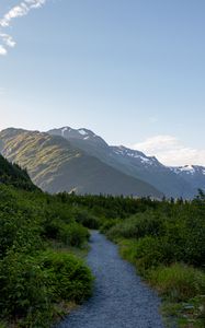 Preview wallpaper mountains, path, bushes, nature