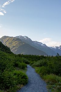 Preview wallpaper mountains, path, bushes, nature