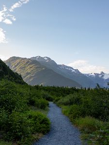 Preview wallpaper mountains, path, bushes, nature