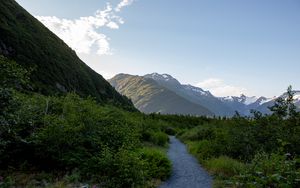 Preview wallpaper mountains, path, bushes, nature