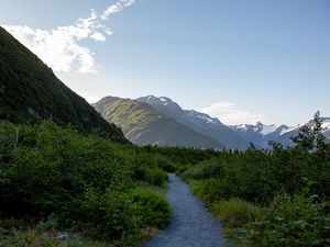 Preview wallpaper mountains, path, bushes, nature