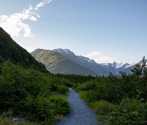 Preview wallpaper mountains, path, bushes, nature