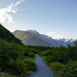 Preview wallpaper mountains, path, bushes, nature