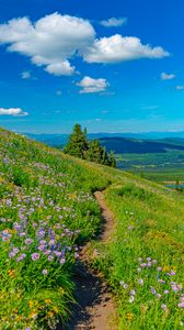 Preview wallpaper mountains, path, flowers, grass, landscape