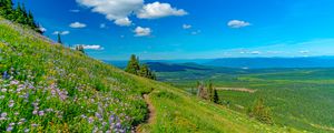 Preview wallpaper mountains, path, flowers, grass, landscape