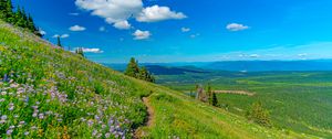 Preview wallpaper mountains, path, flowers, grass, landscape