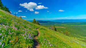 Preview wallpaper mountains, path, flowers, grass, landscape