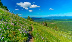 Preview wallpaper mountains, path, flowers, grass, landscape