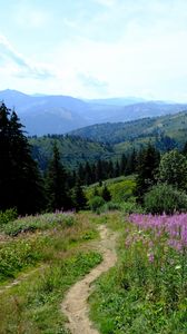 Preview wallpaper mountains, path, grass, flowers, trees, nature