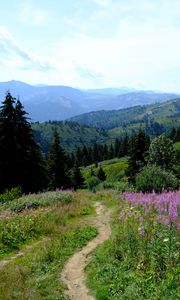 Preview wallpaper mountains, path, grass, flowers, trees, nature