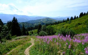 Preview wallpaper mountains, path, grass, flowers, trees, nature
