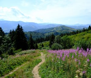 Preview wallpaper mountains, path, grass, flowers, trees, nature