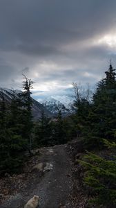 Preview wallpaper mountains, path, trees, nature