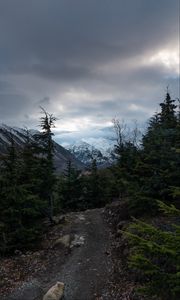 Preview wallpaper mountains, path, trees, nature