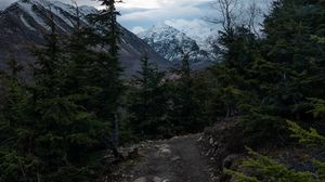 Preview wallpaper mountains, path, trees, nature