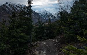 Preview wallpaper mountains, path, trees, nature