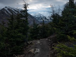 Preview wallpaper mountains, path, trees, nature