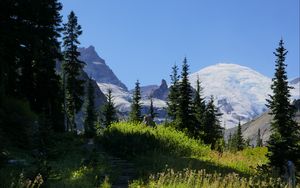 Preview wallpaper mountains, path, trees, grass