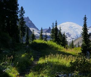 Preview wallpaper mountains, path, trees, grass