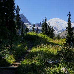 Preview wallpaper mountains, path, trees, grass