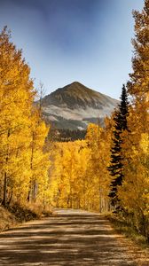 Preview wallpaper mountains, path, trees, autumn, forest