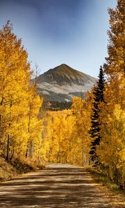 Preview wallpaper mountains, path, trees, autumn, forest