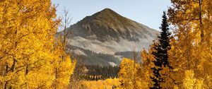 Preview wallpaper mountains, path, trees, autumn, forest