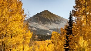 Preview wallpaper mountains, path, trees, autumn, forest
