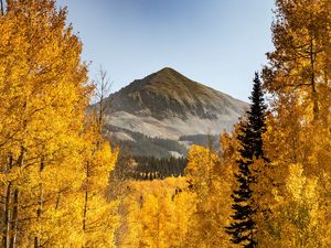 Preview wallpaper mountains, path, trees, autumn, forest