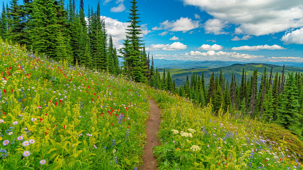 Wallpaper mountains, path, trees, flowers, grass