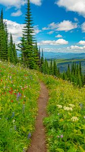 Preview wallpaper mountains, path, trees, flowers, grass