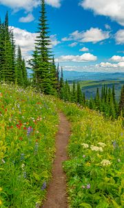 Preview wallpaper mountains, path, trees, flowers, grass