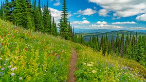 Preview wallpaper mountains, path, trees, flowers, grass
