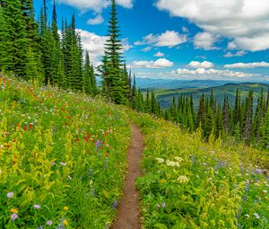 Preview wallpaper mountains, path, trees, flowers, grass