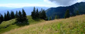 Preview wallpaper mountains, path, trees, grass, landscape