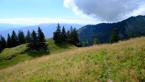 Preview wallpaper mountains, path, trees, grass, landscape