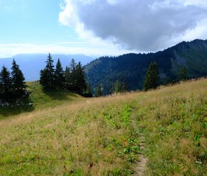 Preview wallpaper mountains, path, trees, grass, landscape