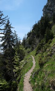 Preview wallpaper mountains, path, trees, nature, landscape