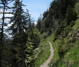 Preview wallpaper mountains, path, trees, nature, landscape