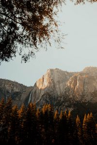 Preview wallpaper mountains, peak, branches, trees