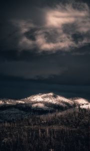 Preview wallpaper mountains, peak, forest, trees, snow, snowy