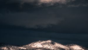 Preview wallpaper mountains, peak, forest, trees, snow, snowy